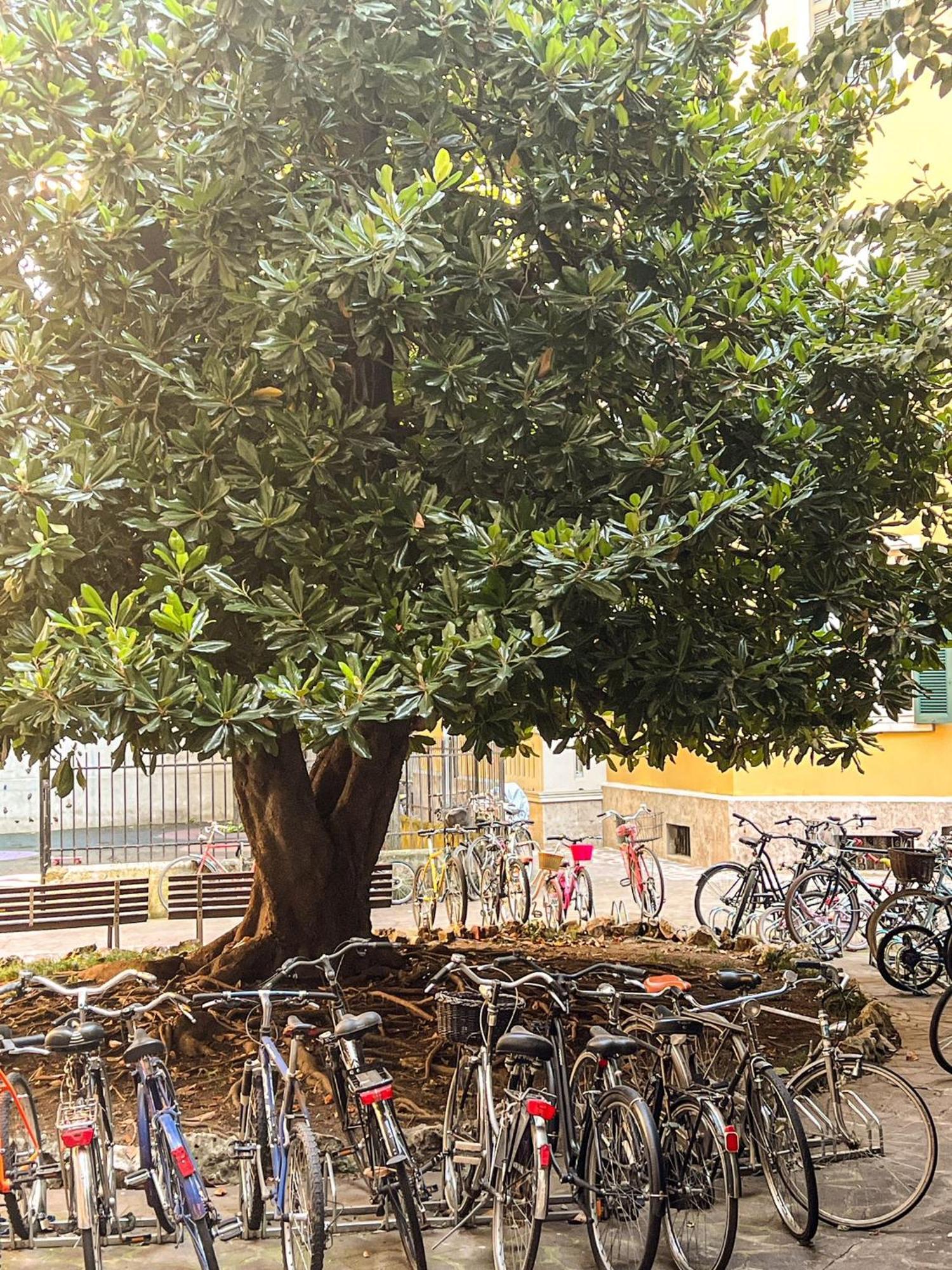 Divini Gae Aulenti Milão Exterior foto